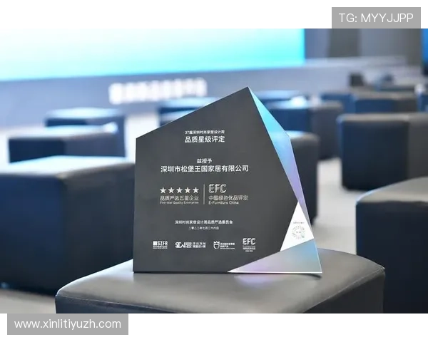 完美正规官网：如何设计符合行业标准的专业官方网站