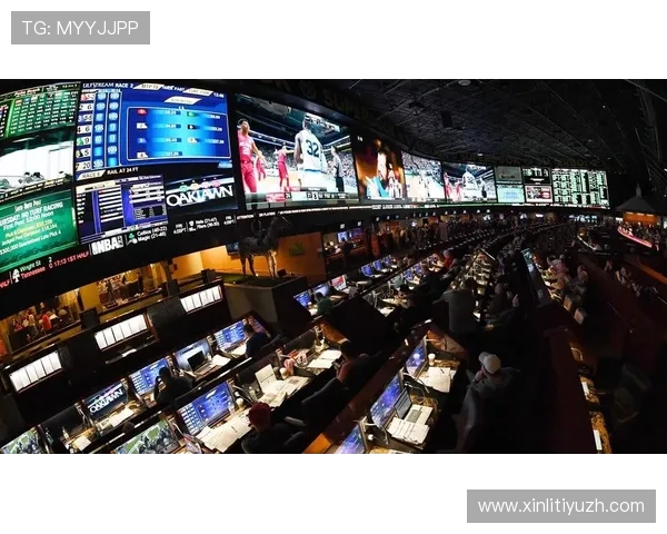 伟德软件在体育博彩行业的应用创新推动行业规范化发展的新动向 伟德软件在体育博彩行业的应用创新推动行业规范化发展的新动向