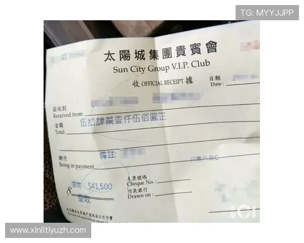 乐鱼体育VIP直营如何实现高效资金管理，保障玩家资金安全与快速提现