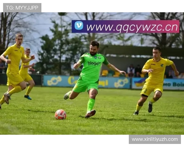 今年会体育官网如何提升用户体验，详细介绍平台功能优化与赛事直播亮点