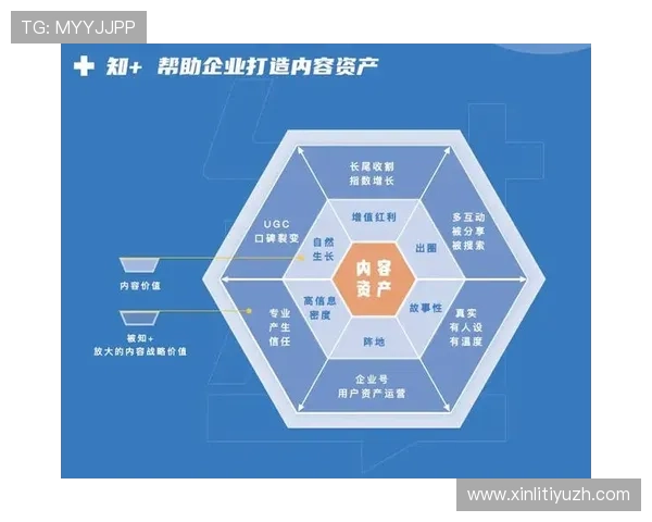 半岛网站详细介绍热门游戏评测与玩家心得分享帮助决策